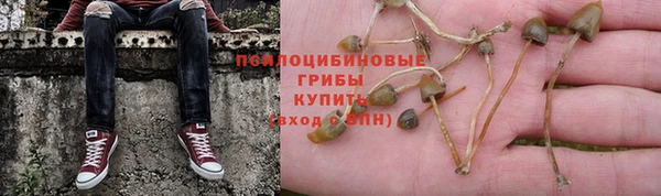 кокаин колумбия Алзамай