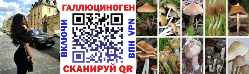 Псилоцибиновые грибы Cubensis где продают наркотики Фёдоровский